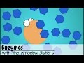 Exploring Enzyme Function and Characteristics
