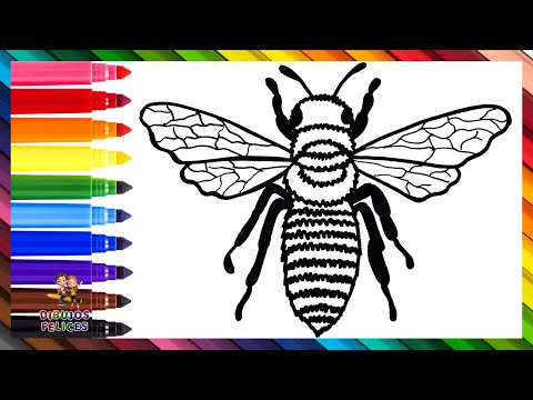 Cómo Dibujar Una Abeja 🐝 Dibuja y Colorea Una Abeja Realista 🐝🍯🌈 Dibujos Para Niños