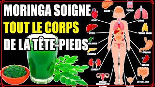 Les Bienfaits Miraculeux du MORINGA et COMMENT UTILISER LE MORINGA comme remède naturel