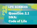 DNA Replication and Transcription Concepts