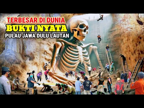 Viral !! Temuan Terbesar Sepanjang Sejarah|| Bukti Nyata Pulau Jawa Dulunya Adalah Lautan