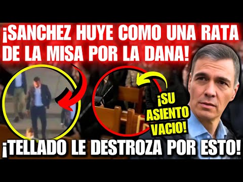 👉PEDRO SÁNCHEZ HUYE como una RATA 💥¡DE LA MISA POR LA DANA!💥 ¡Y TELLADO LE ATERRA CON PUIGDEMONT!