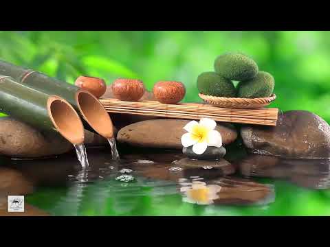 Relaxing Music to Relieve Stress, Anxiety and Depression 🌿 Heals The Mind, Body and Soul