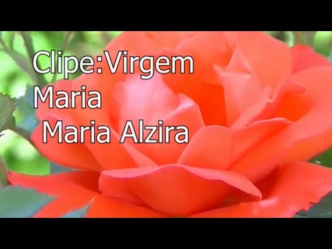 VIRGEM MARIA MARIA ALZIRA-CLIPE