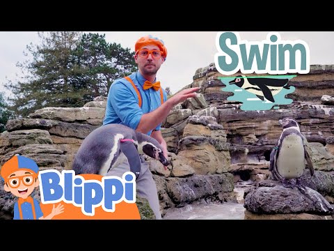 Blippi Hangs Out With Penguins at the Zoo | Animal Adventure For Kids | Blippi Learning