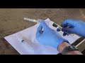 Veterinary Blood Sampling Techniques