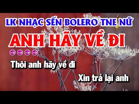 Nhạc Sến Lk Karaoke Tone Nữ Beat An Nhàn | Anh Hãy Về Đi – Thư Gửi Người Miền Xa | Thanh Hải