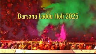 Brij Holi 2025, Barsana Laddu Holi 2025, Laddu Mar Holi Barsana