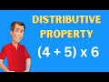 Understanding the Distributive Property
