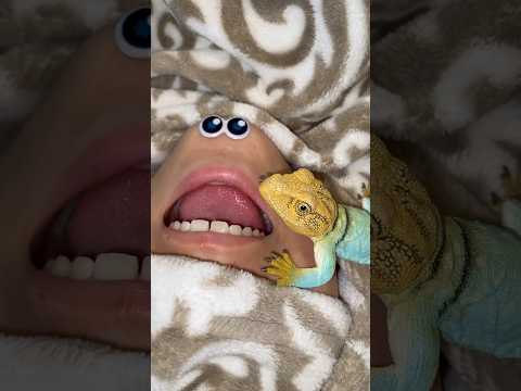 Posy is scared of a Lizard 🦎 #youtubeshorts #funny