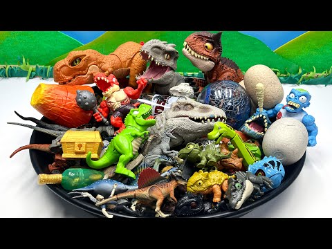 Dinosaur Collection In The Black Tray - Dinosaur zombie, dino eggs, tyrannosaurus Triceratops