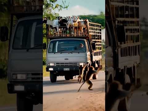 #wow #shortvideo #shorts #truck #truckdriver