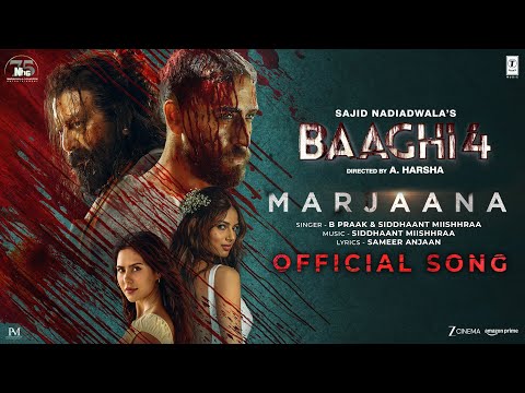 Baaghi