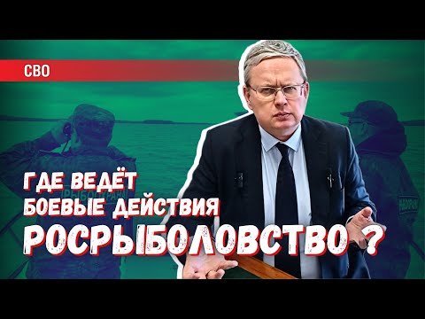 Ветераны боевых действий от Росрыболовства: что можно узнать, читая законы