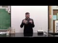 Cell Membrane and Diffusion Experiments