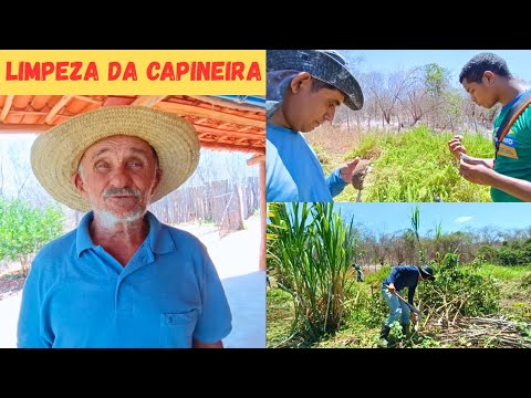 Serviço da Capineira Continua Paulo Cercando e Limpeza da Outra Capineira Vejam só