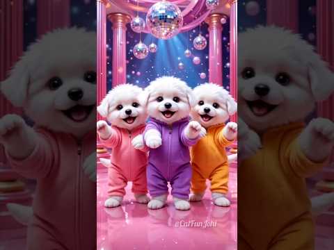 funny puppy dance video 😃| #funnyvideo #monkey #viraldance  #funny #cute #shortsviral #462