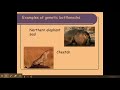 Genetic Drift and Population Dynamics