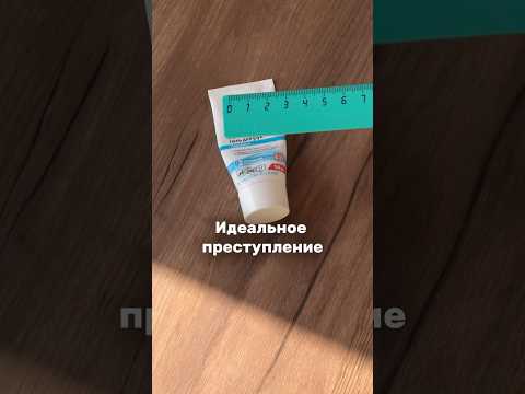 Я подозреваю. SPITZLAND - ТГ #Бонди #шпиц #шпицалогия #померанскийшпиц