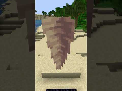 Ketika Kamu Menjatuhkan Dripstone ke Nether Portal