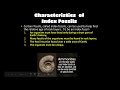 Exploring Index Fossils and Their Significance