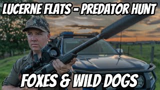 EDGE of the OUTBACK Predator Hunt || Pulsar Thermal + 6BR in Action [Foxes & Wild Dogs]
