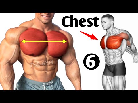 6 Chest Exercises for Bigger and Defined Chest - Chest Workout