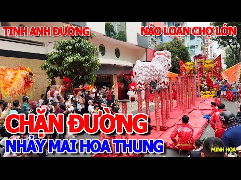 NÁO LOẠN CHỢ LỚN RỒI - CHẶN ĐƯỜNG NHẢY MAI HOA THUNG TRƯỚC CỬA TIỆM VÀNG - MÚA LÂN TINH ANH ĐƯỜNG