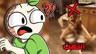 واخيرا راح تنتهي مقاطع الغباء الإصطناعي 😂! | آخر الأخبار التقنية