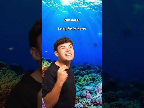 SE LE ALGHE in MARE POTESSERO PARLARE - Gabriele Vagnato