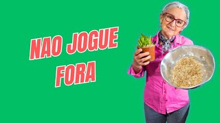 NÃO JOGUE MAIS CASCAS DE OVO FORA 😱🌱 SEGREDO PODEROSO PARA SUAS PLANTAS! 🌸✨
