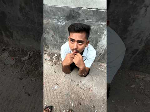 ২৬ তারিখ🐹😂 #shorts #hamsters