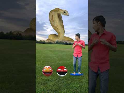 Pacman vs Snake, dinosour, tiger & gorilla dance - magic video