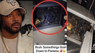 Something Is Going on Down In Panama, Charlie Kirk Rabbit hole is Creepy