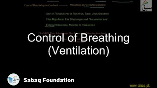 Control of Breathing (Ventilation)