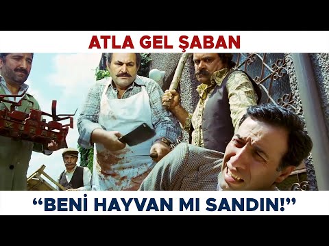 Atla Gel Şaban Türk Filmi | Alacaklılar Niyazi'nin Peşinde!