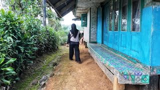 Wah.. Seenak Ini, Suasana Damai Di Desa, Tentram Hidup Di Kampung Indah, Suasana Pedesaan Jawa Barat