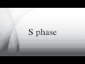 Cell Cycle and DNA Replication Concepts