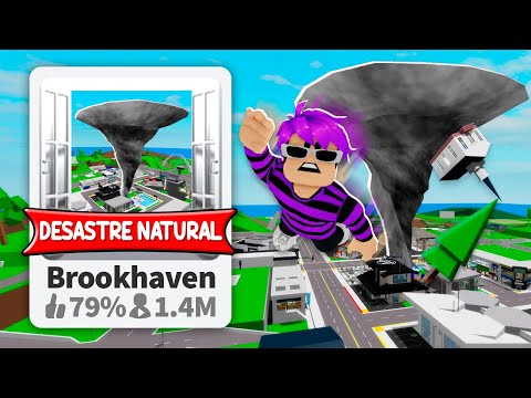 CRIEI O BROOKHAVEN dos DESASTRES NATURAIS