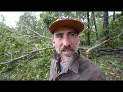 Storm Came through the Farm/ Hurricane Helene