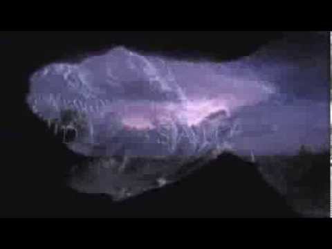 [HD] Walking With Dinosaurs: Opening Titles (1999)