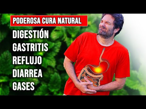 6 HIERBAS DIGESTIVAS para la GASTRITIS, ACIDEZ , GASES