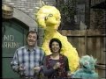 Exploring 'Me Gusta' from Sesame Street