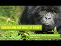 Democratic Republic of Congo Facts