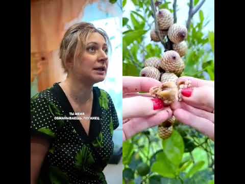 ❗️кто понял в чём его хитрость?🥴 #pov #story