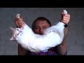 Cat Aerial Maneuvering and Physics
