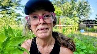 Still Growing | Lessons from my Garden & Life