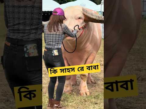 এটা মহিষ নাকি দানব? কি সাহস মেয়েটার?  #shorts