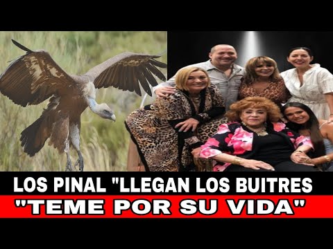 SON UNOS"MISERABLES" LOS HEREDEROS  DE SILVIA PINAL