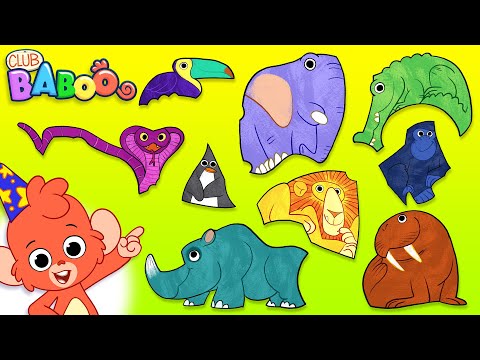 WILD ANIMALS Puzzle | Club Baboo Junior | 1 HOUR Fun Educational Video for Kids | Learn Animal Names